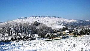 Archivo:SiCastellarZafra