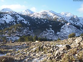 Sierra del Endrinal nevada.jpg