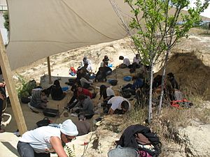 Archivo:Somosaguas fossil site - 2014 paleontological campaign 01