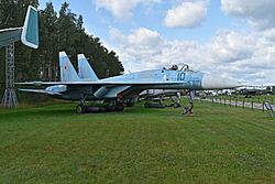 Archivo:Sukhoi T-10 ’10 blue’ (38650585024)