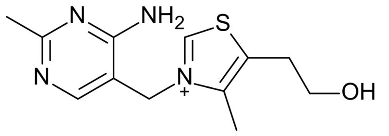 Thiamine structure