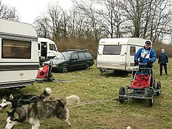 Archivo:Trainingswagen für Schlittenhunde