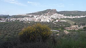 Archivo:Zagra