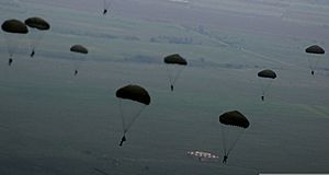 Archivo:68thSFB Paratroopers