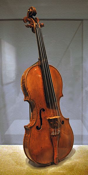 Archivo:Andrea Amati violin - Met Museum NY