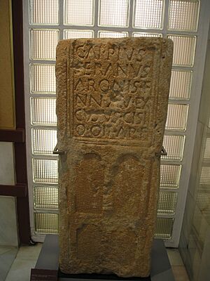 Archivo:Appiusseranus