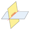 Arista