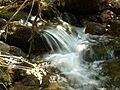 Arroyo de las Corzas - panoramio