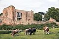 Astley Castle Across the Moat