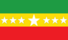 Bandera de San Miguel de Bolívar.png
