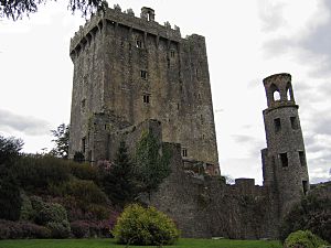 Archivo:Blarney Castle 01