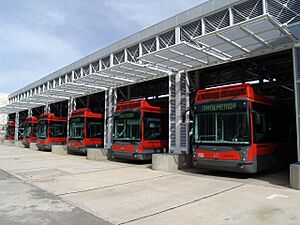 Archivo:Buses trolmerida