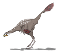 Archivo:Caudipteryx2mmartyniuk