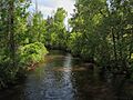 Cedar River Gladwin Michigan