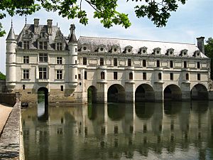 Archivo:Château de Chenonceau - west facade over Cher (4 May 2006)