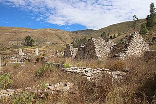 Colca, Uyo-Uyo, 2023 (34).jpg