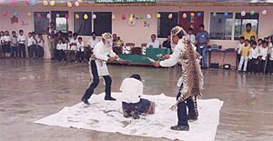 Archivo:Danza del Tigrillo