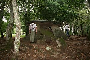 Archivo:Dolmen de Axeito 01