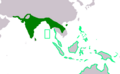 Esacus recurvirostris and Esacus magnirostris ranges
