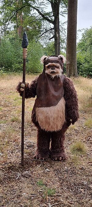 Archivo:Ewok wicket