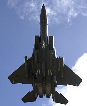 Archivo:F-15E Strike Eagle With Landing Gear Down Underside View