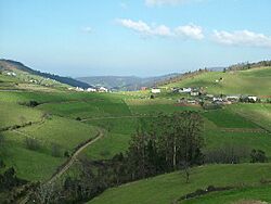 Folgueiras desde castromouran.jpg