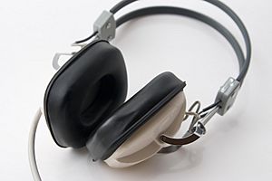 Archivo:Headphones 1