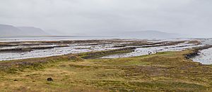 Archivo:Hrútafjörður, Vestfirðir, Islandia, 2014-08-15, DD 077