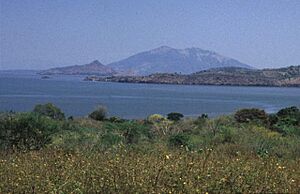 Archivo:Isla Zacate Grande