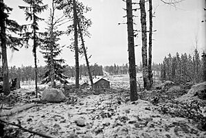 Archivo:Ladoga Karelia terrain