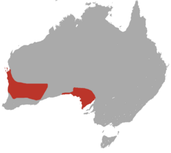 Mapa de distribución de S. dolichura