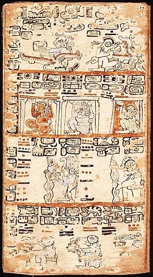 Archivo:Madrid Codex page