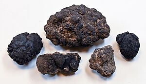 Archivo:Manganese-nodule00 hg