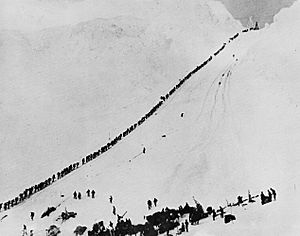 Archivo:Miners climb Chilkoot