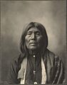 Nasuteas (Kichai Woman), Wichita