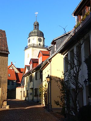 Archivo:Nikolaiviertel Altenburg