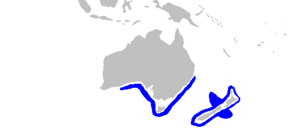Archivo:Oxynotus bruniensis distmap