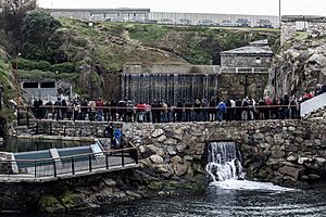 Archivo:Piscinas exteriores. Aquarium Finisterrae. MC2