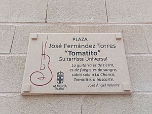 Archivo:Placa Tomatito
