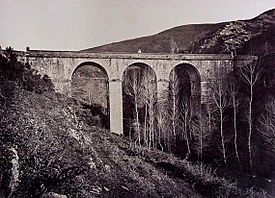 Ponte de Cruzul (ca. 1867?).jpg