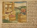 Pressing berries into juice* (1600)