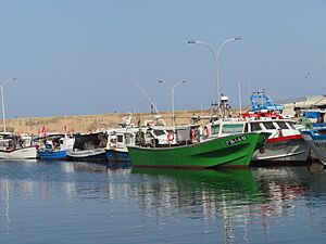 Archivo:Puerto pesquero de L'Ametlla de Mar (Tarragona)