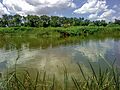 Río Tajo a su paso por Talavera
