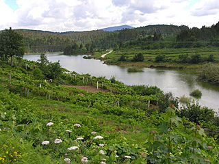 Río Umia dende Paradivas.Caldas de Reis.Galiza.jpg