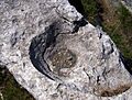 Roca caliza-limestone rock