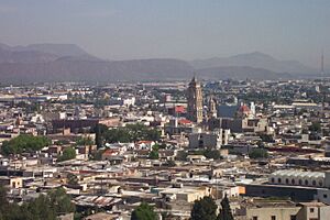 Archivo:Saltillo, mexico(3)