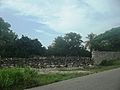 Santa Cecilia (Tetiz), Yucatán (01)