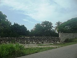 Santa Cecilia (Tetiz), Yucatán (01).JPG