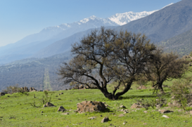 Sierra de ramón desde cerro Santa Rosa - Bosque Panul - 31 agosto 2020.png