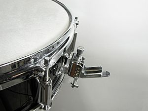 Archivo:Snare drum strainer